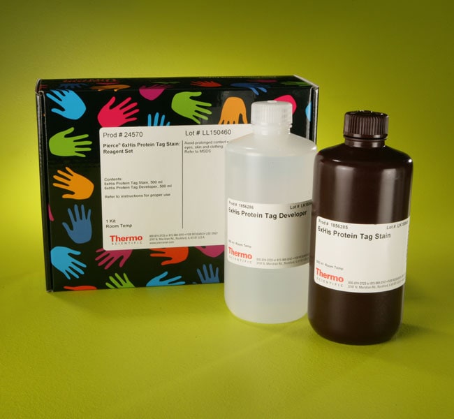 Thermo Fisher Scientific Pierce 6xHis Protein Tag Stain Reagent Set