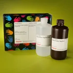 Thermo Fisher Scientific Pierce 6xHis Protein Tag Stain Reagent Set