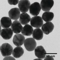 Merck SILVER, DISPERSION, NANOPARTICLES, 60 N&