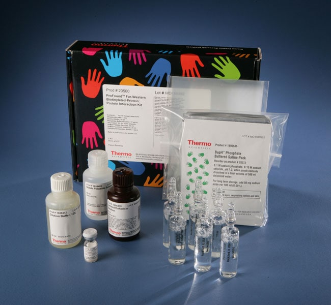 Thermo Fisher Scientific Pierce Far-Western Blot Kit for Biotinylated Proteins