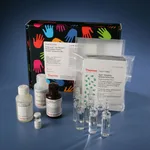 Thermo Fisher Scientific Pierce Far-Western Blot Kit for Biotinylated Proteins