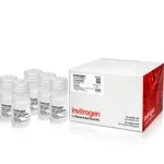 Thermo Fisher Scientific Cells-to-cDNA II Cell Lysis Buffer (10 ml Bottle)