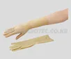 AS ONE Glove Latex Powder Free, 라텍스 장갑