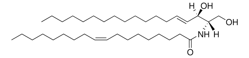 Merck C18:1 Ceramide (d18:1/18:1(9Z))