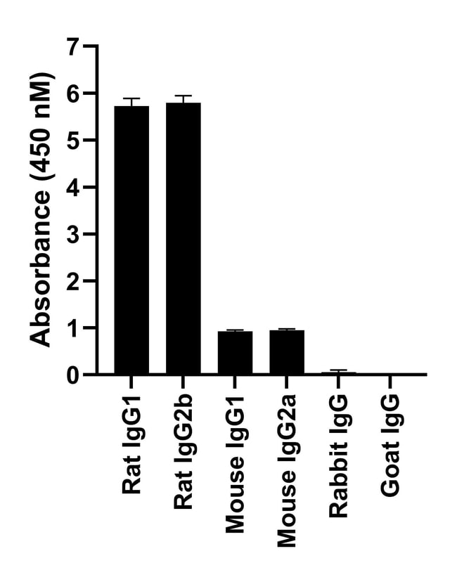 Thermo Fisher Scientific Donkey anti-Rat IgG (H+L) Highly Cross-Adsorbed Secondary Antibody, Alexa Fluor 555