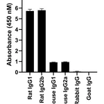 Thermo Fisher Scientific Donkey anti-Rat IgG (H+L) Highly Cross-Adsorbed Secondary Antibody, Alexa Fluor 555