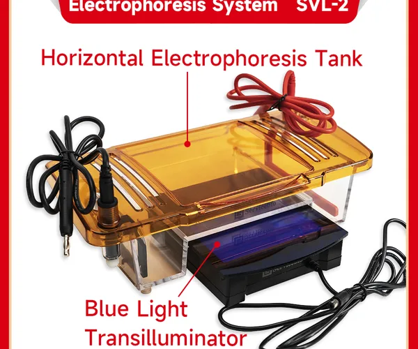 Servicebio Integrated Horizontal Electrophoresis System