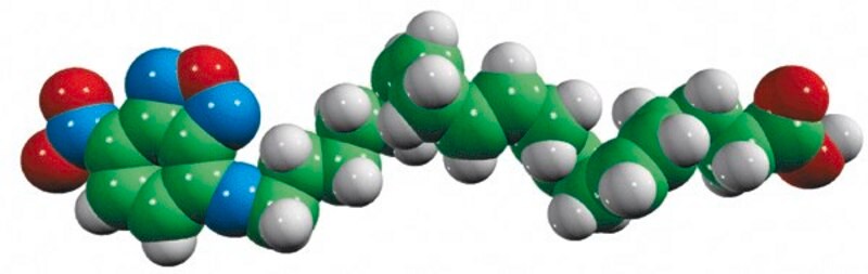 Merck NBD AA