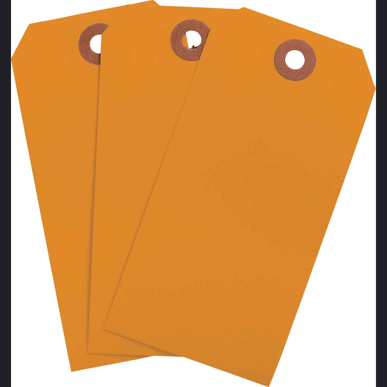 Brady Blank Heavy Duty Orange Tags | 캐시바이