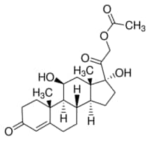 Merck HYDROCORTISONE ACETATE