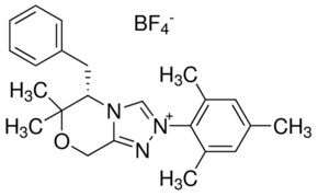 Merck (S)-5-BENZYL-2-MESITYL-6,6-DIMETHYL-6,8&