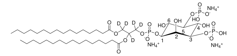 Merck rac-16:0PI(3,5)P2-d5