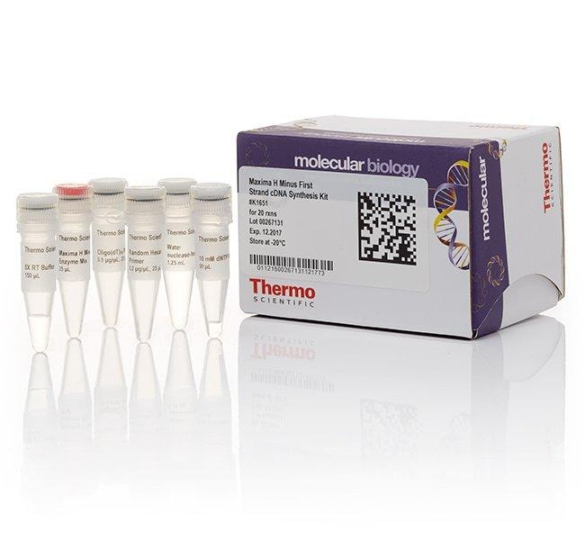 Thermo Fisher Scientific Maxima H Minus First Strand cDNA Synthesis Kit, Each