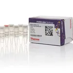 Thermo Fisher Scientific Maxima H Minus First Strand cDNA Synthesis Kit, Each