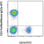 Thermo Fisher Scientific Rat anti-Mouse IgG2a Secondary Antibody, APC, eBioscience