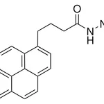 Merck 1-Pyrenebutyric hydrazide