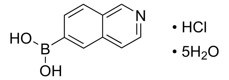 Merck Isoquinolin-6-ylboronic acid hydrochloride pentahydrate