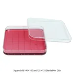 Daihan Science Square Grid 100×100 and 125×125 Sterile Petri Dish, PS<br>Made of Crystal Clear