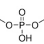 Merck BIS(2-(METHACRYLOYLOXY)ETHYL) PHOSPHATE