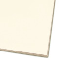 Germination Test Paper / Grade 193 (FT-2-381-120300)