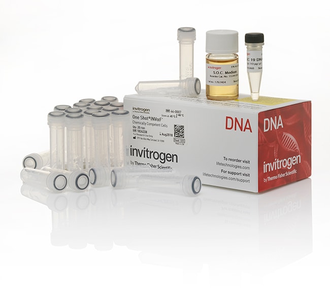 Thermo Fisher Scientific One Shot INVαF` Chemically Competent E. coli