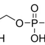 Merck SN-GLYCEROL 3-PHOSPHATE LITHIUM SALT