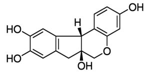 Merck BRAZILIN