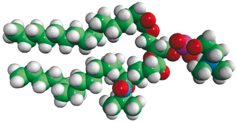 Merck 16:0-5 Doxyl PC