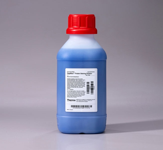 Thermo Fisher Scientific PageBlue Protein Staining Solution