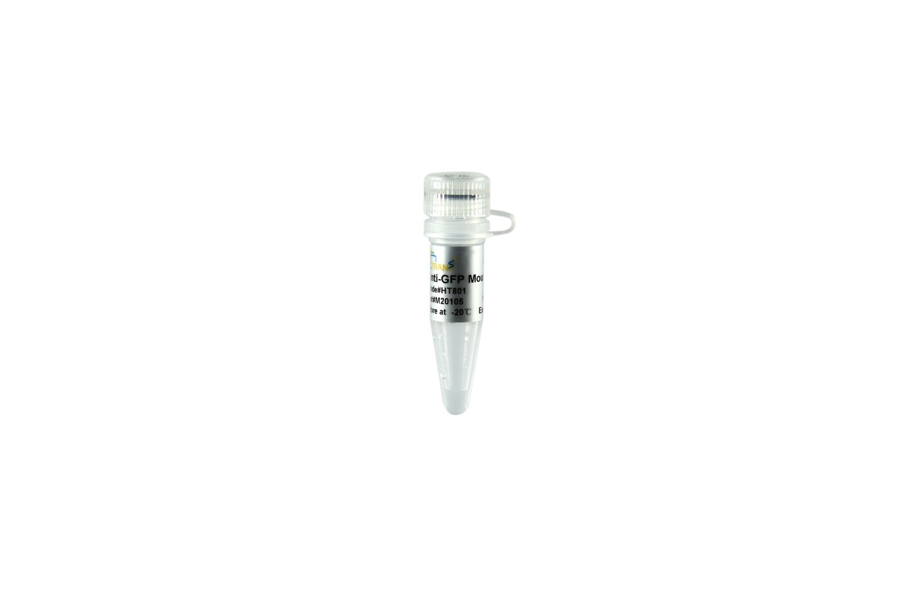ProteinFind® Anti-GFP Mouse Monoclonal Antibody