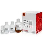 Thermo Fisher Scientific Dynabeads DNA DIRECT Universal Kit