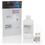 Thermo Fisher Scientific BacLight Bacterial Membrane Potential Kit