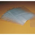 Thermo Fisher Scientific Polyethylene Bags