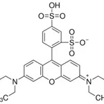 Merck SULFORHODAMINE B, ACID FORM, LASER GRADE