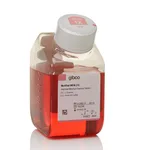 Thermo Fisher Scientific Modified IMEM (Improved Minimum Essential Medium), with L-glutamine, without gentamicin sulfate