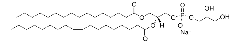 Merck 16:0-18:1 PG