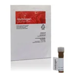 Thermo Fisher Scientific FAST DiO Solid; DiOΔ<sup>9,12</sup>-C18(3), ClO4 (3,3`-Dilinoleyloxacarbocyanine Perchlorate)
