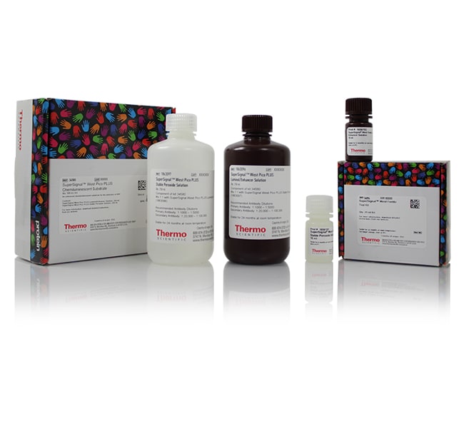 Thermo Fisher Scientific SuperSignal Western Blot Substrate Bundle, Pico PLUS + trial-size Atto
