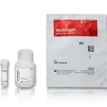 Thermo Fisher Scientific Qdot 800 ITK Streptavidin Conjugate Kit