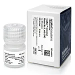 Thermo Fisher Scientific TaqMan Universal Master Mix II, with UNG, 1 x 5 mL