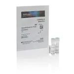 Thermo Fisher Scientific Hypoxia Green Reagent for Flow Cytometry
