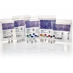 Thermo Fisher Scientific GeneChip 3` IVT Pico Kit, 12 Reactions