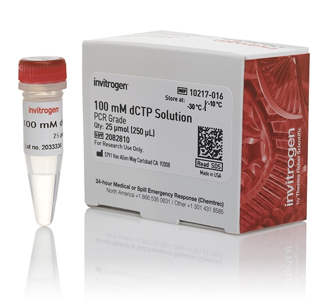 Thermo Fisher Scientific dCTP (100 mM)