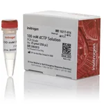 Thermo Fisher Scientific dCTP (100 mM)