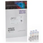 Thermo Fisher Scientific BacLight RedoxSensor CTC Vitality Kit