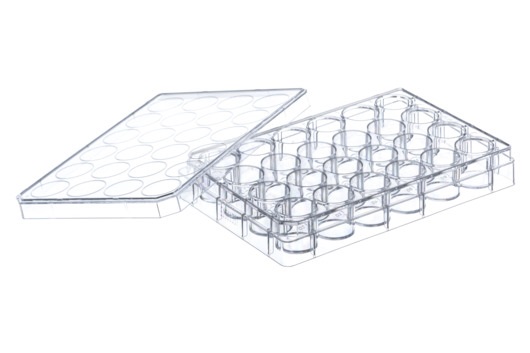 Greiner Bio One CELL CULTURE MULTIWELL PLATE, 24 WELL, PS,CLEAR, CELLSTAR®, CELL-REPELLENT SURFACE, LID WITH CONDENSATION RINGS, STERILE, SINGLE PACKED
