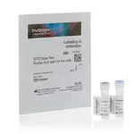 Thermo Fisher Scientific SYTO Deep Red Nucleic Acid Stain, for live cells, 1 Vial