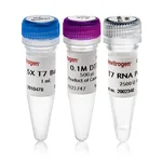 Thermo Fisher Scientific T7 RNA Polymerase, 2500 U