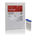 Thermo Fisher Scientific pHrodo Deep Red TFP Ester, 3 x 100 ug
