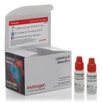 Thermo Fisher Scientific Propidium Iodide Ready Flow Reagent